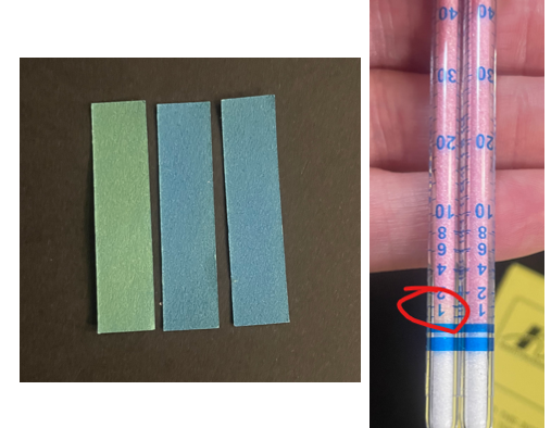 Test 1: AD strip and ppm tube close-up