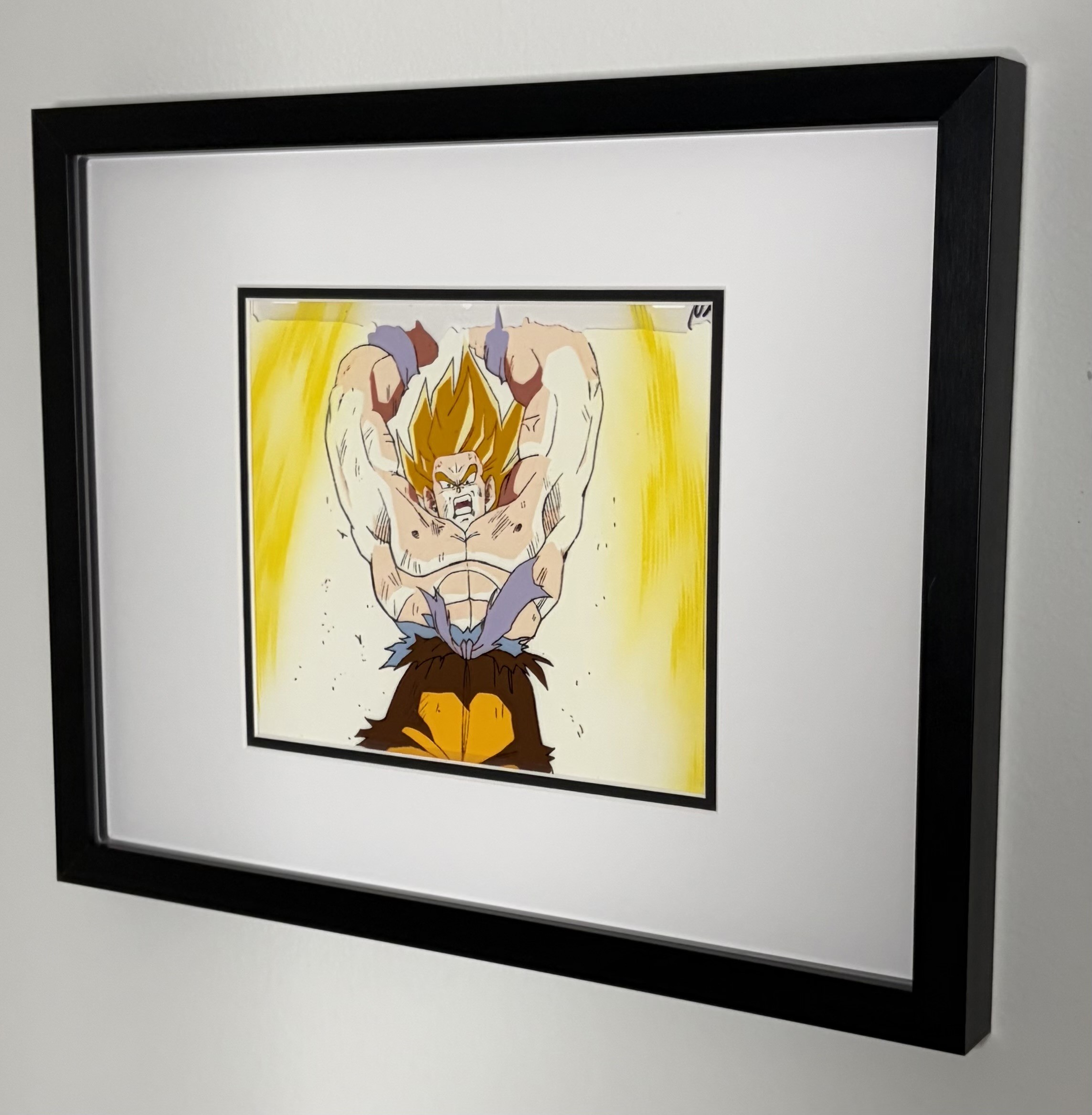 Preservation Frame